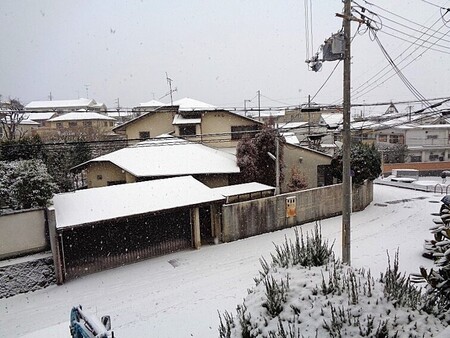 DSC02418.JPG