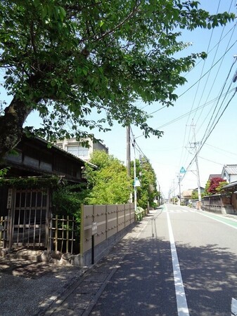 DSC02585.JPG