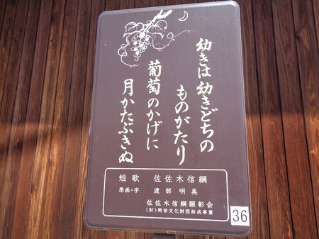 DSC02589.JPG