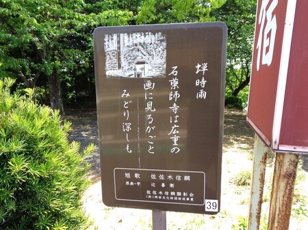 DSC02590.JPG