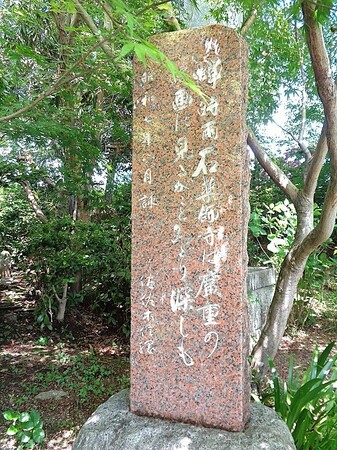 DSC02595.JPG